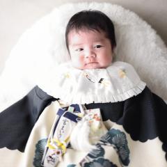 お宮参りの写真